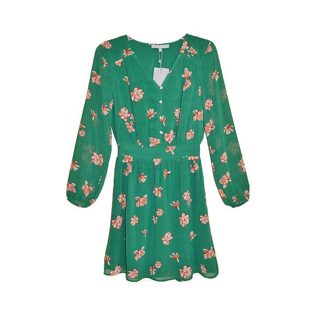 Daniel Rainn Green Floral Print Button Front Dress